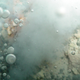 Gas bubbles from a deep ocean vent. Image: Wikipedia
